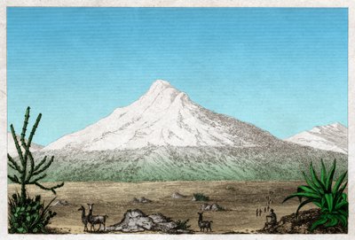 El volcán Chimborazo desde la meseta de Tapia, Ecuador. circa 1840 (grabado) de . .