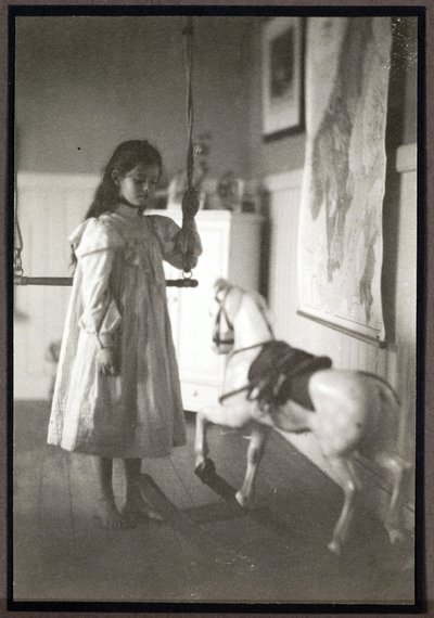 El caballo de balancín de John Pardon