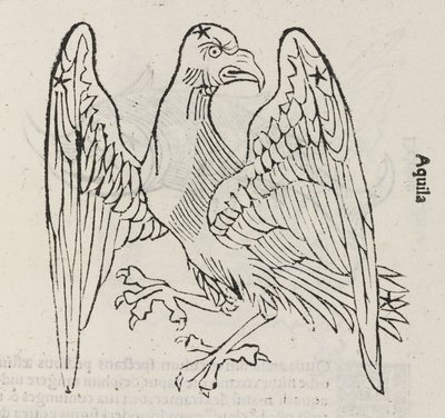 La constelación de Águila de John Pardon