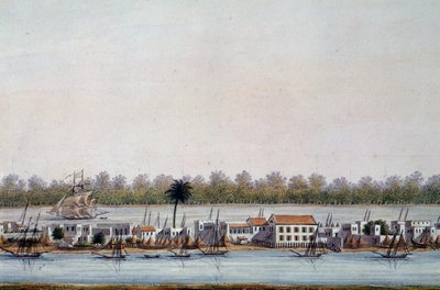 Vista de San Luis, Senegal de William Walcutt