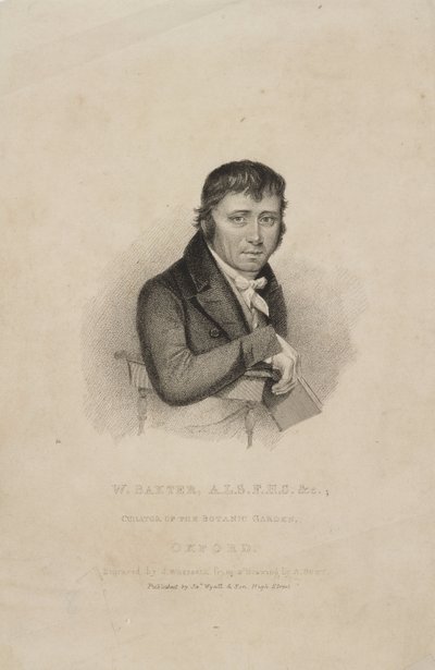 William Baxter, ALS FHS, botánico británico, c 1820s de Frederick (attr. to) Barnard