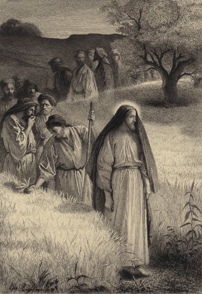 Jesús y sus discípulos en el campo de trigo de after Albert Robida