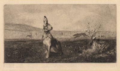 La liebre de after Albert de Balleroy