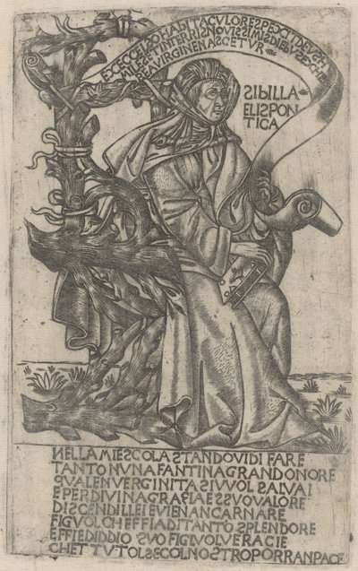 Sibila helespóntica de after Baccio Baldini