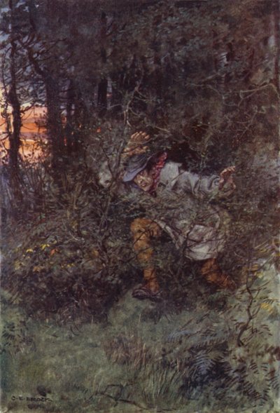 Ilustración para Martin Chuzzlewit de after Charles Edmund Brock