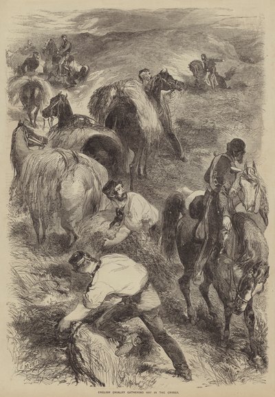 Caballería inglesa recogiendo heno en Crimea de after Edmond Morin