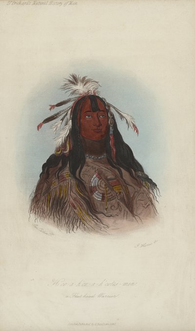 H?co-a-h?co-a-h?cotes-min, Un Guerrero Cabeza Plana (aguafuerte) de after George Catlin