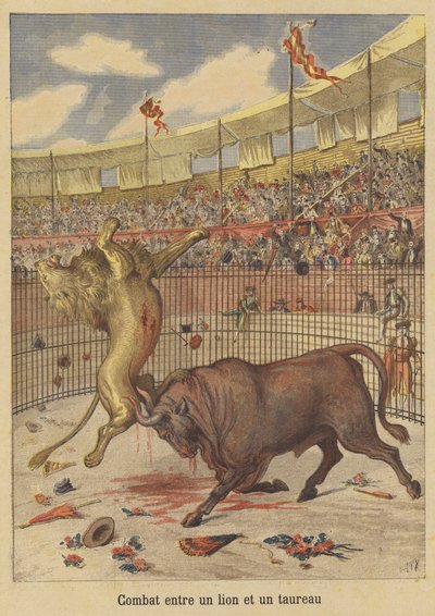 Combate entre un león y un toro de after Henri Meyer