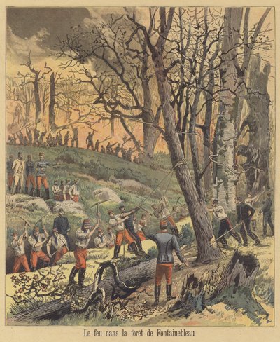 Incendio en el Bosque de Fontainebleau de after Henri Meyer