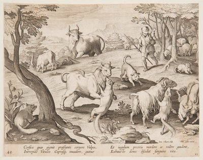 Toros y cabras atacados por zorros de after Jan van der Straet, called Stradanus