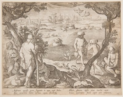 Cazando gansos de after Jan van der Straet, called Stradanus