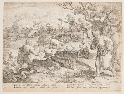 Cazando serpientes de after Jan van der Straet, called Stradanus