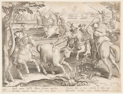 Cazando toros salvajes de after Jan van der Straet, called Stradanus