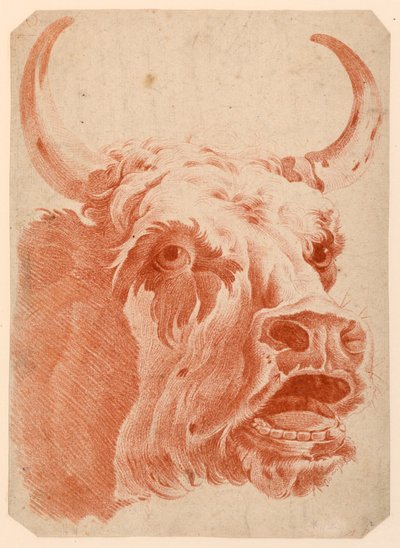 Cabeza de una vaca de after Jean Baptiste Huet