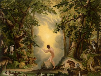 La creación de Adán de Johann Elias Ridinger or Riedinger