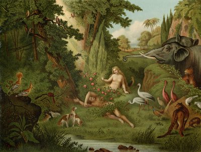 La creación de Eva de Johann Elias Ridinger or Riedinger