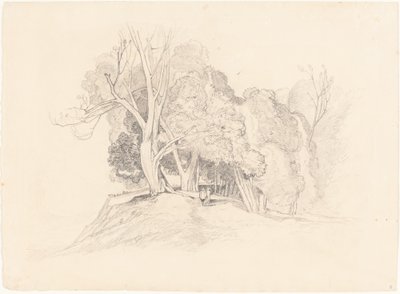 Paisaje con Árboles de after John Sell Cotman British 19th Century