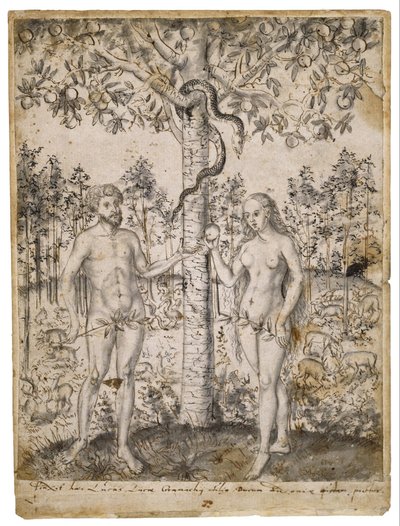 La caída del hombre de after Lucas Cranach the Younger