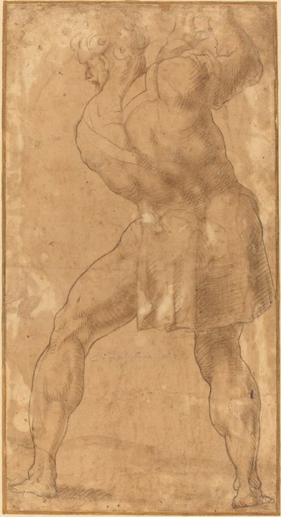Figura de un Hombre de after Polidoro da Caravaggio