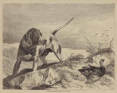 Urogallo herido de after Richard Ansdell