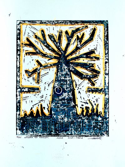  de andrea de ranieri