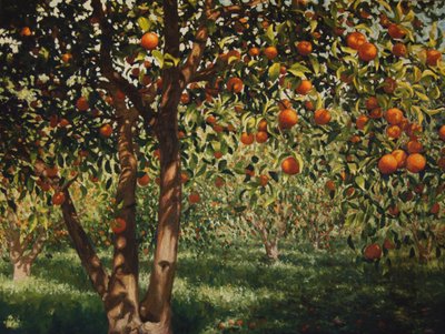 Silencio bajo las naranjas II de angus hampel