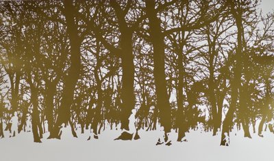 Árboles de la vida, 2017 de angus hampel