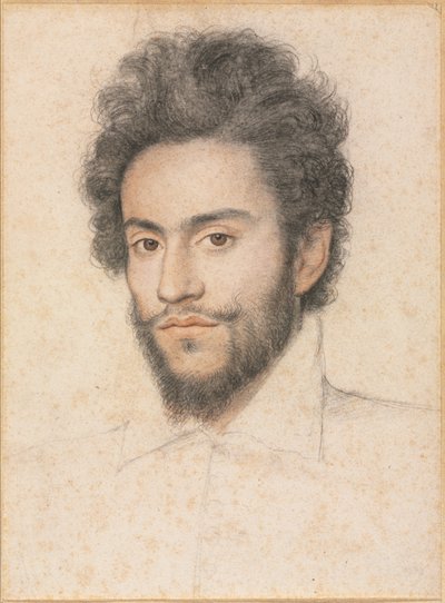 Young Man with a Beard de attributed to François Quesnel