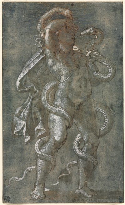 Hombre entrelazado por dos serpientes de attributed to Giovanni Antonio da Pordenone