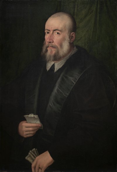 Retrato de un anciano de attributed to Giulio Campi