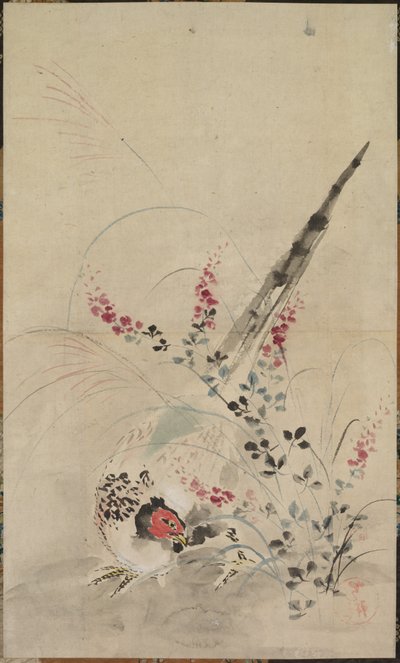 Pheasant and Grasses de attributed to Ogata Kōrin
