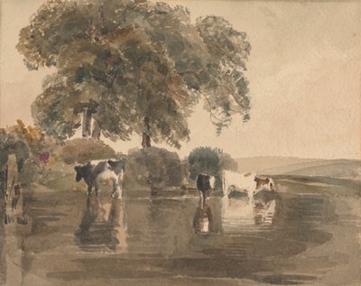 Vacas en una piscina de attributed to Peter DeWint