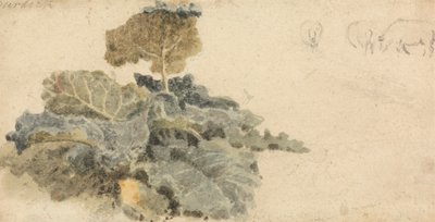 Estudio de las Bardanas de attributed to Peter DeWint