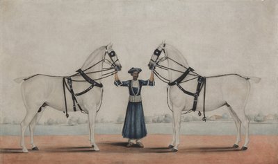 Un mozo de cuadra sosteniendo dos caballos de carruaje, ca. 1845 de attributed to Shaikh Muhammad Amir of
