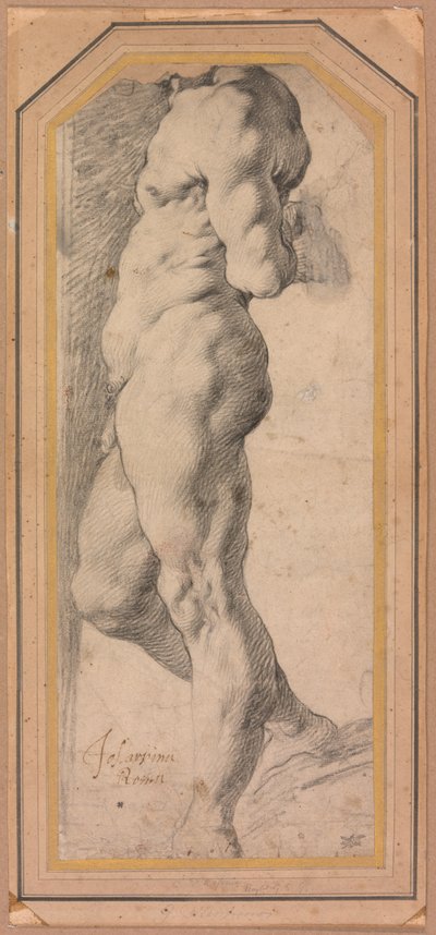 Estudio de un desnudo masculino de pie de called Cavaliere d