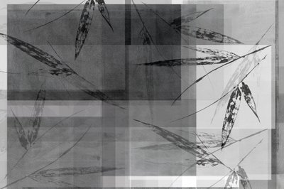 Capas de bambú abstractas de cartissi