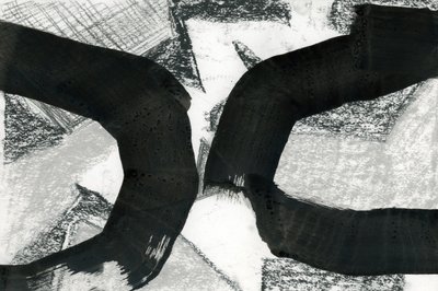 Curvas negras abstractas de cartissi