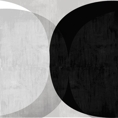 Curvas abstractas en blanco y negro de cartissi