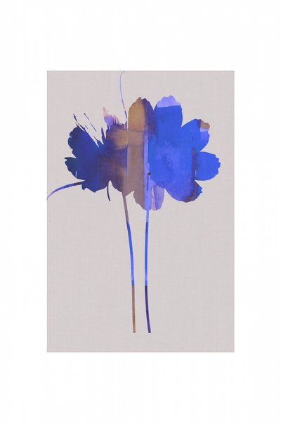 Flores azules abstractas de cartissi