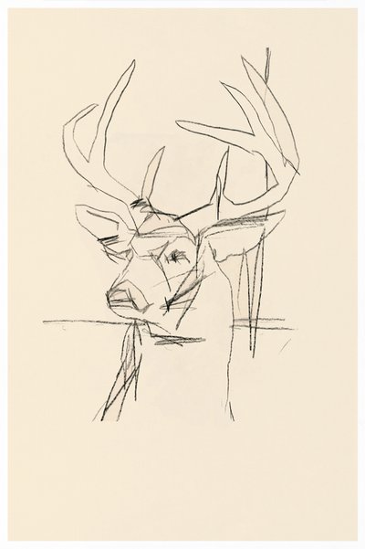 Boceto abstracto de un ciervo de cartissi