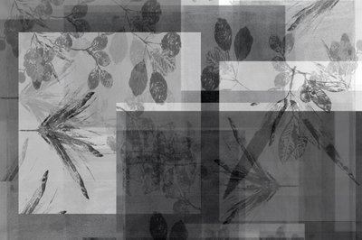 Follaje gris abstracto de cartissi