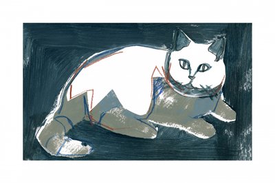 Gato blanco artístico de cartissi