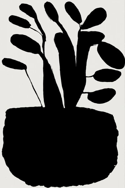 Silueta botánica en negro de cartissi