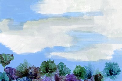 Cielo floral de ensueño de cartissi
