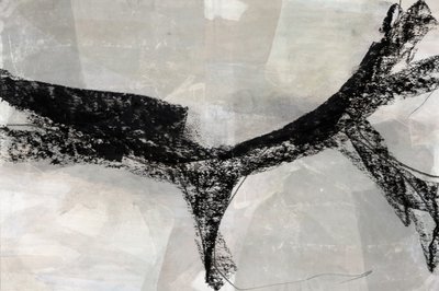 Forma abstracta dinámica de cartissi
