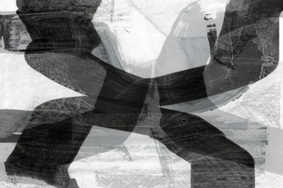 Trazos monocromáticos dinámicos de cartissi