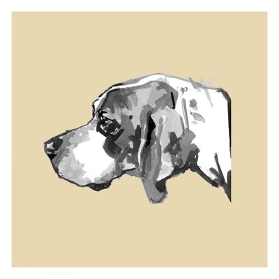 Perfil de un perro elegante de cartissi