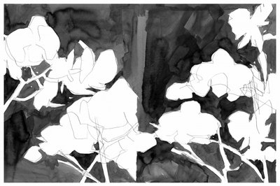 Elegantes flores nocturnas de cartissi