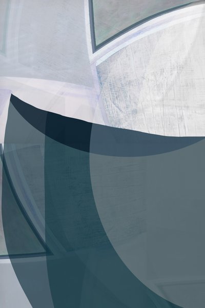 Curvas fluidas: abstracto de cartissi