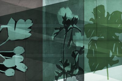 Sombras botánicas en capas de cartissi